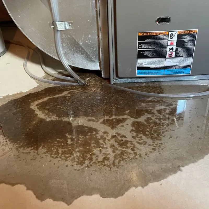 Pipe Burst and Leak Restoration in Largo, MD
